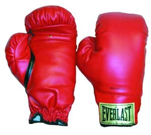 Everlast Boxing Gloves